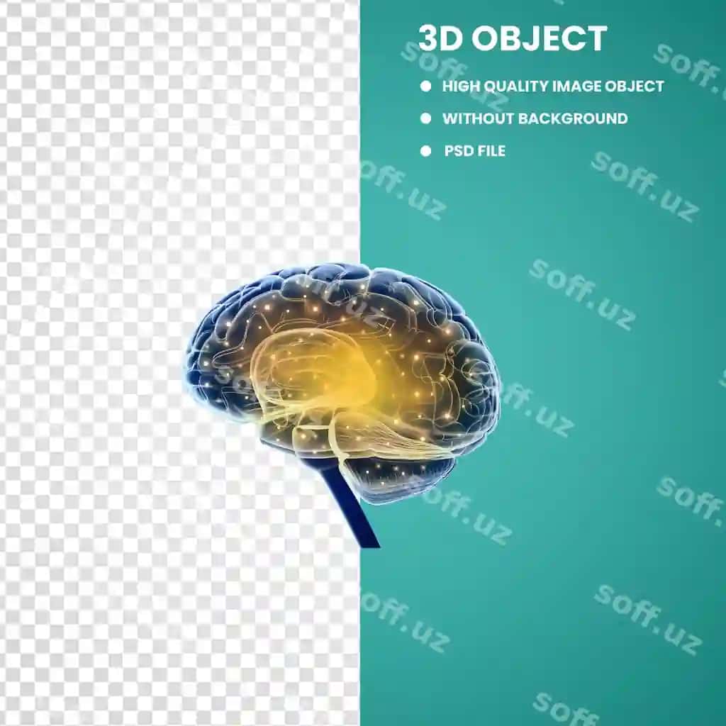Insonga oyog'iy ko'k va sariq | Blue yellow human brain