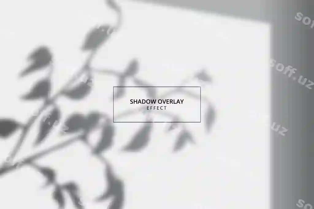 Soya qoplama effekti kulrang fon shablonini | Shadow overlay effect gray background template