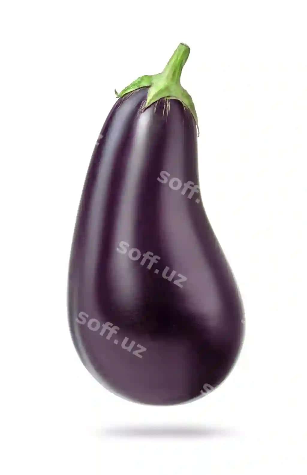 Yangi hovo baqaliy | Fresh raw eggplant
