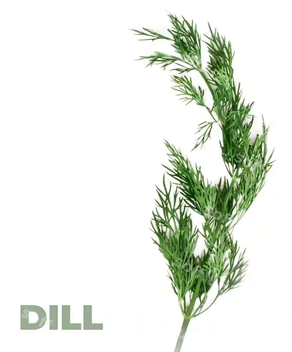 Rasm zavodi buldozer so'zi bilan | Picture plant with word bulldo it