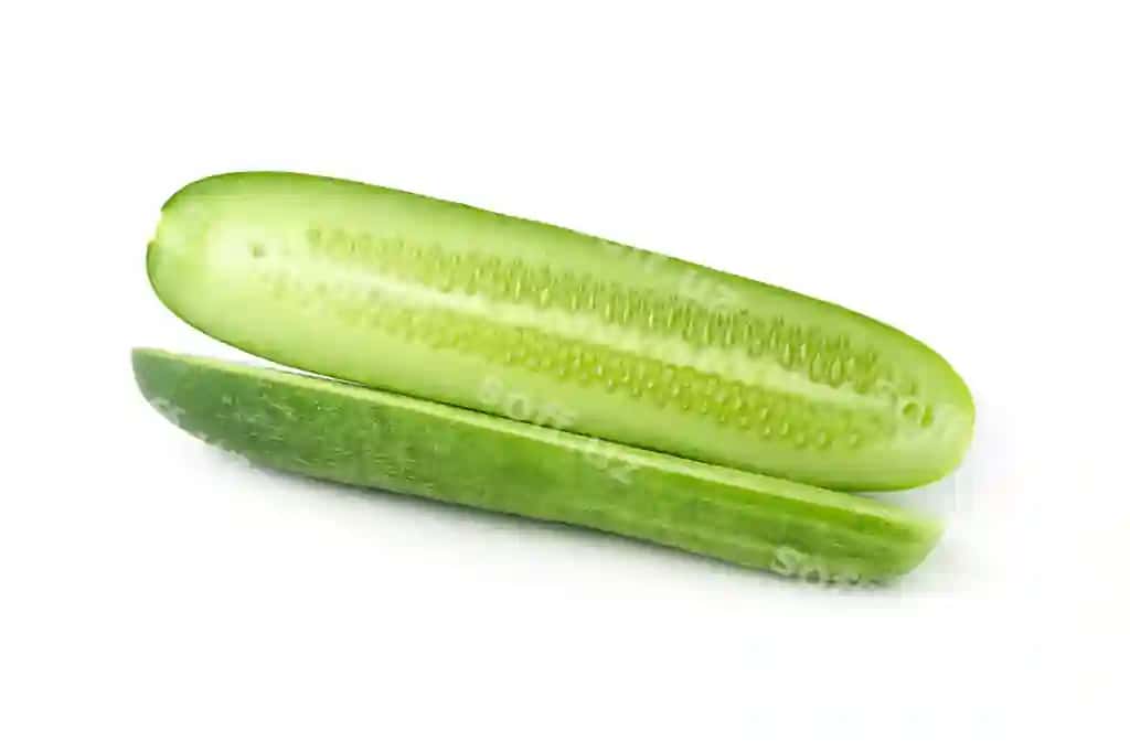 Bağirning noyati ajraltirilgan oq fon | Cucumber slice isolated white background