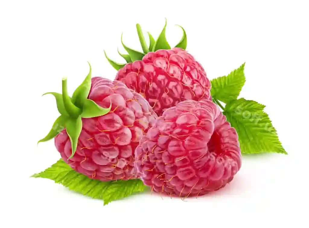 Marta ajraltirilgan oq fon chetka yo'li bilan | Raspberry isolated white with clipping path