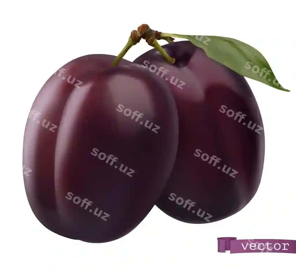 Olxo'ri 3d realistik | Plum 3d realistic