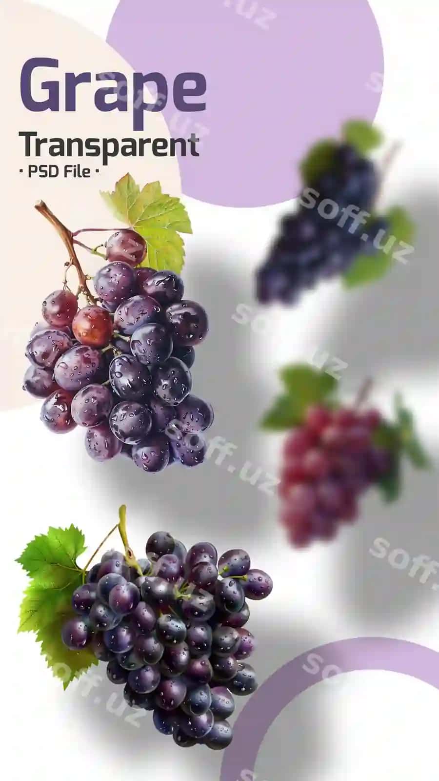 Greypfrutlar shaffof orqa fonda ajraltirilgan | Grape fruits isolated transparent background