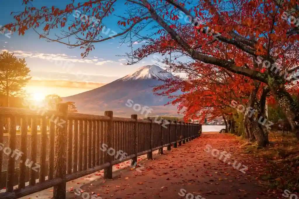 Fuji to'pochkasi, Kawaguchi ko'li, kuzgi yaproqchalar, quyosh chiqishi, Fujikawaguchiko, Yaponiya | Mt fuji lake kawaguchiko with autumn foliage sunrise fujikawaguchiko japan