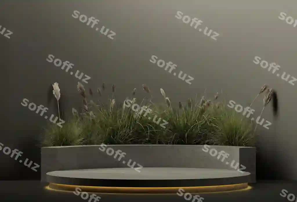 Loungerlar qora qora rangdagi fonda o'simliklar mockup illustratsiyalari 3d renderlar | Loungers black black color background plants mockup illustrations 3d renders