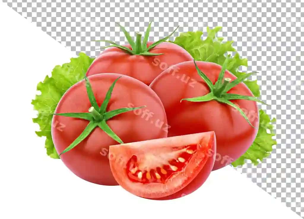 Pomidorlar oq fonda ajraltirilgan | Tomatoes isolated white background