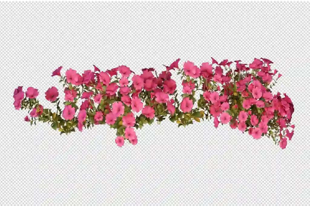 Chiroyli turli xil gullar 3D renderlash izolyatsiya qilingan | Beautiful various kinds flowers 3d rendering isolated