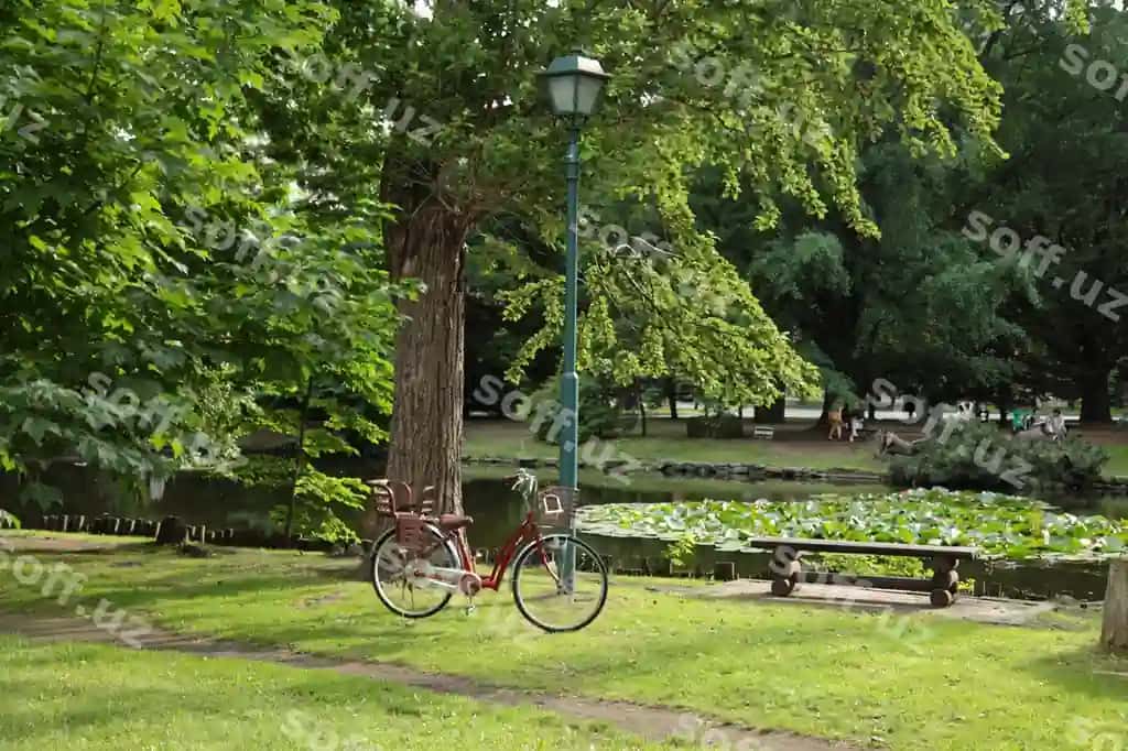 Velosiped parki | Bicycle park