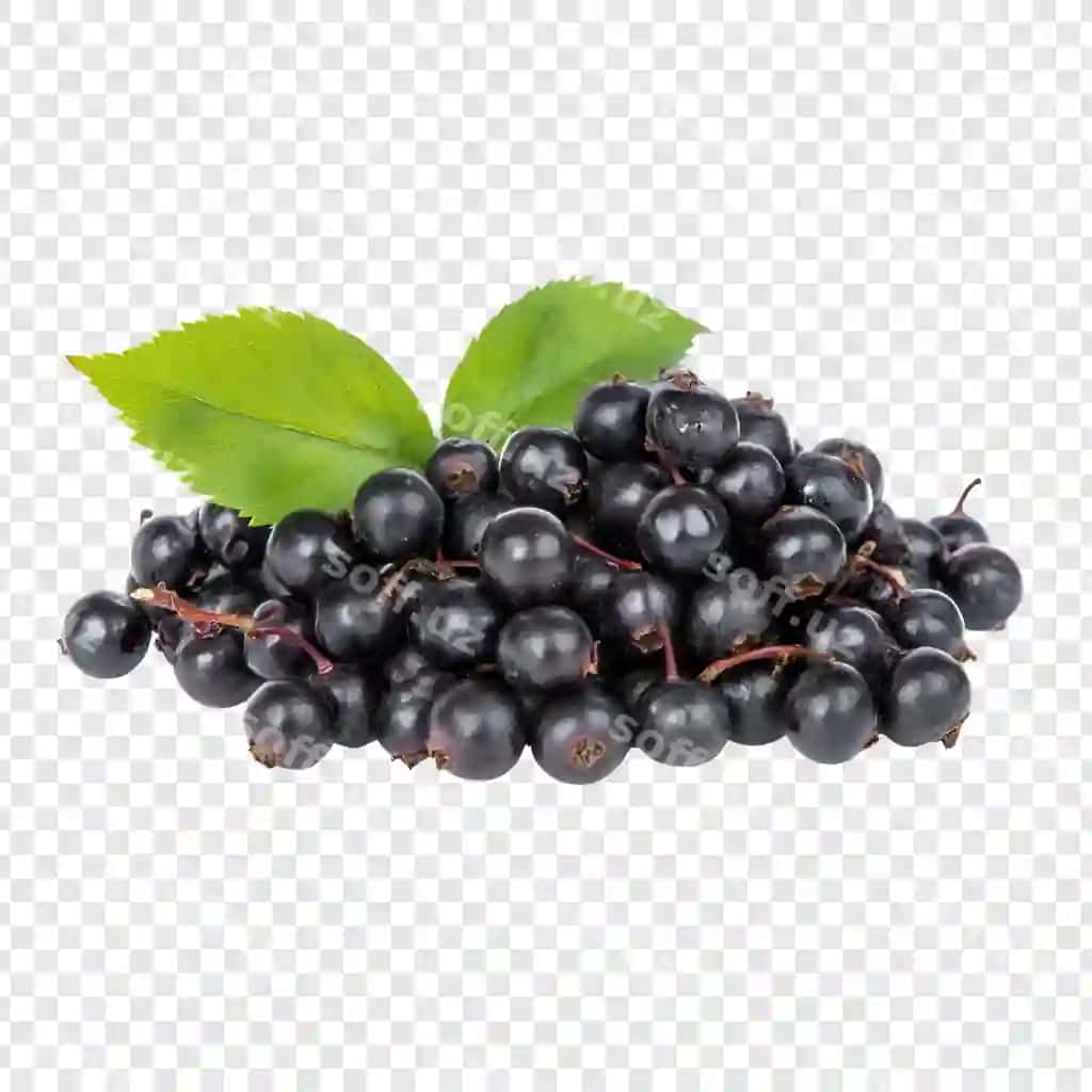Shaffof ajralgan boringlar | Berries isolated transparent