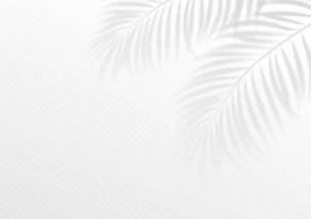 Oq tropik fon rasmi | White tropical wallpaper