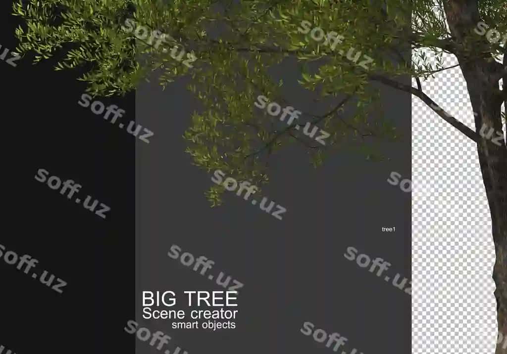 Katta daraxtning oldingi fondagi renderingni ko'rsatish | Display large tree foreground rendering