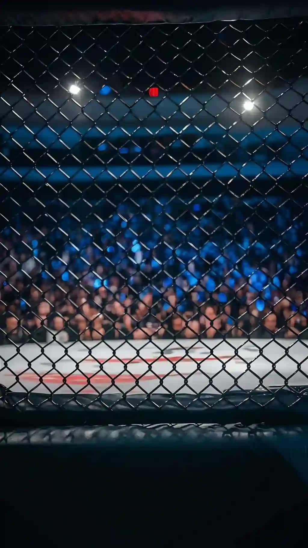 Mma qafas ichidan ko'rinadigan masofadan toza old ko'rish auditoriyasi mma | Distant clean front view audience mma seen from inside mma cage