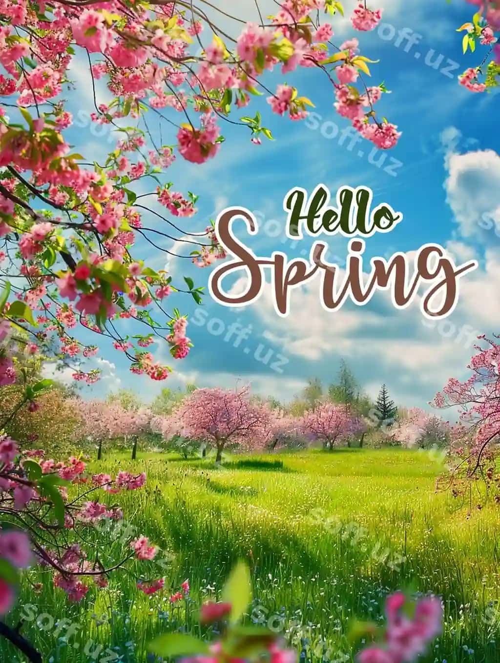 Salom bahor postery shabloni ijtimoiy media posti salom bahor | Hallo spring poster template media social post hello spring