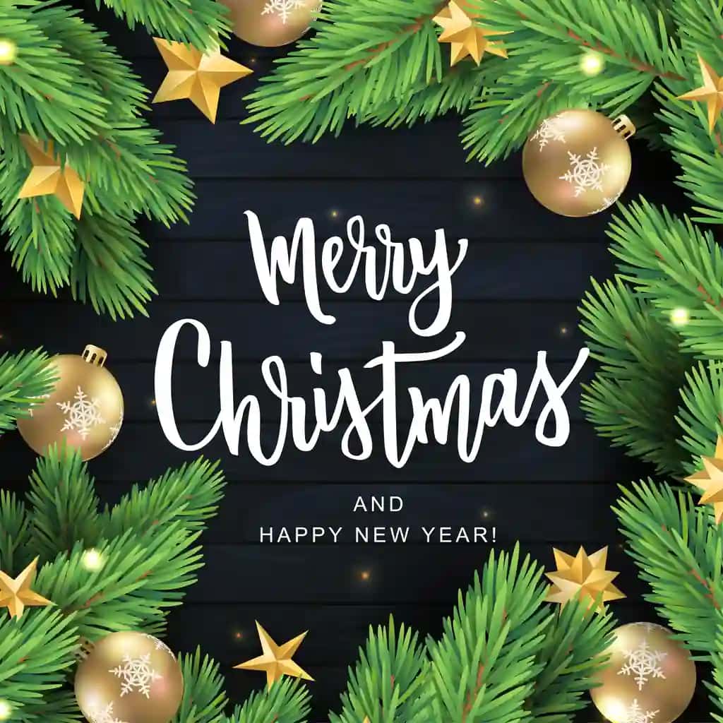 Rojdestvo qo'l yozuvi matn kartasi haqiqiy qarag'ay novdasi bilan | Merry christmas hand lettering text card realistic pine branch with
