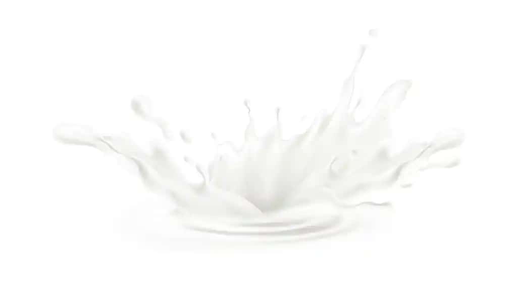 Rasm oq sut | Illustration white milk