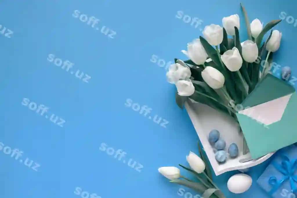 Paskha flatskaya sariq, ko'k, oq lola konvert qog'oz orqa fonda bahor bezatishlari bilan nusha joyi | Easter flat lay yellow blue white tulips envelope paper background with spring decorations copy space