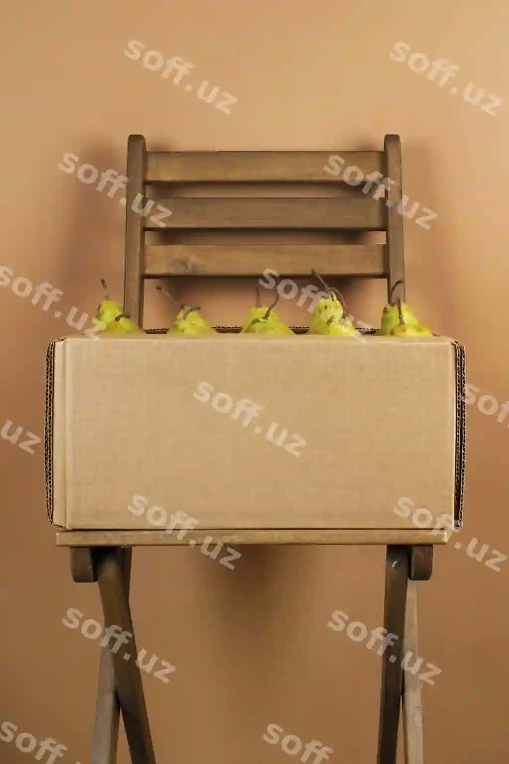 Qog'ozli konteyner quti anorlar | Cardboard container crate pears