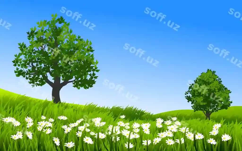 Dasi maydoni yashil chaman va daraxt bilan | Daisy field with green grass tree
