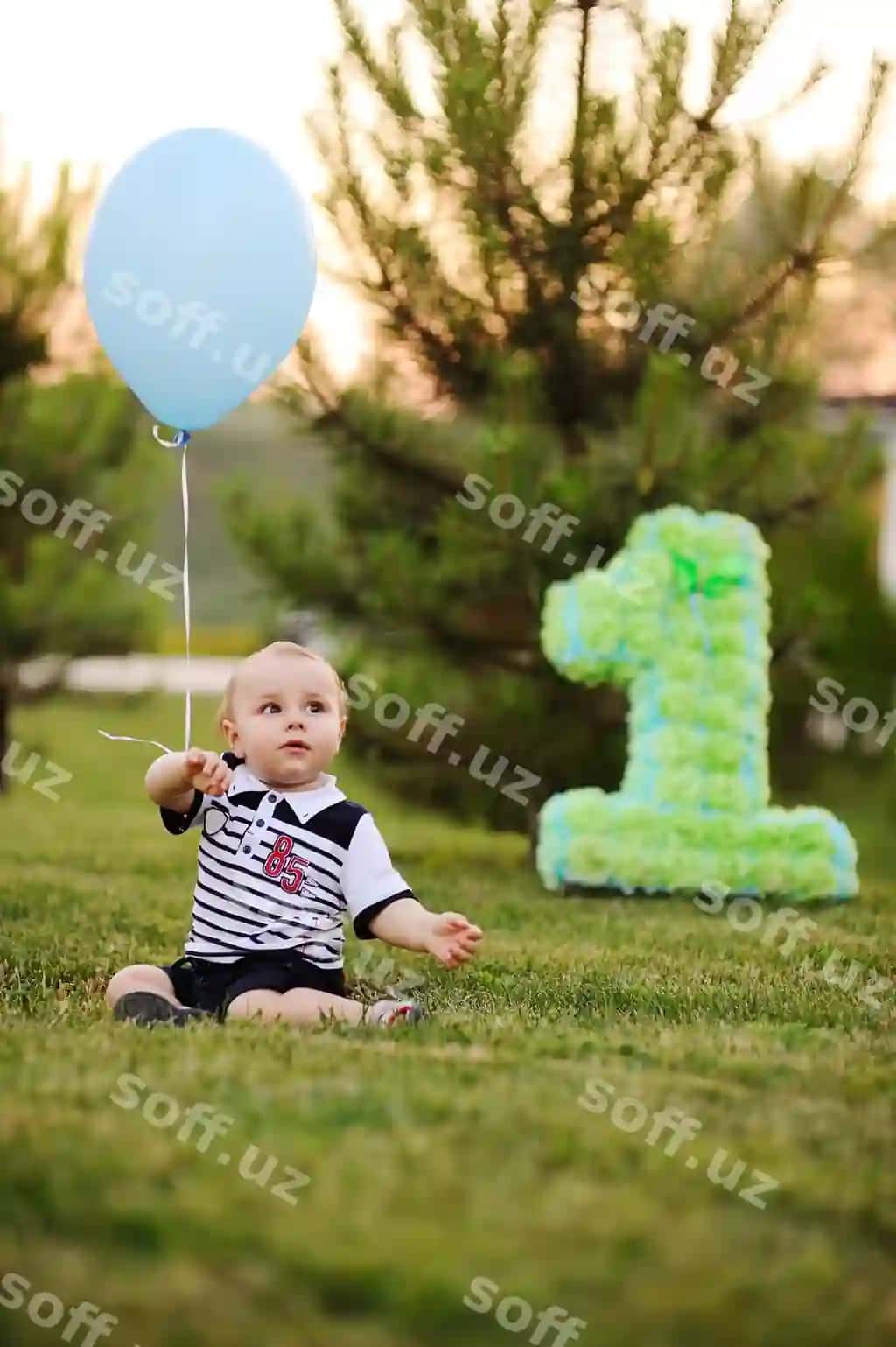 Kichik bolalar o'g'ri choyon o'tirgan, birinchi tug'ilgan kuningda gulbarg'a ajraladi. | Little baby boy sitting grass smiles his first birthday