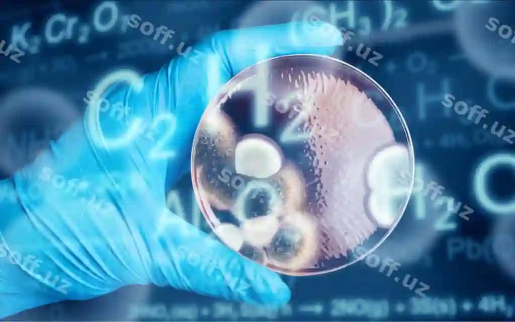 Bakteriyalar bilan Petri idishini ushlab turgan erkak qo'li | Male hand holding petri dish with bacteria