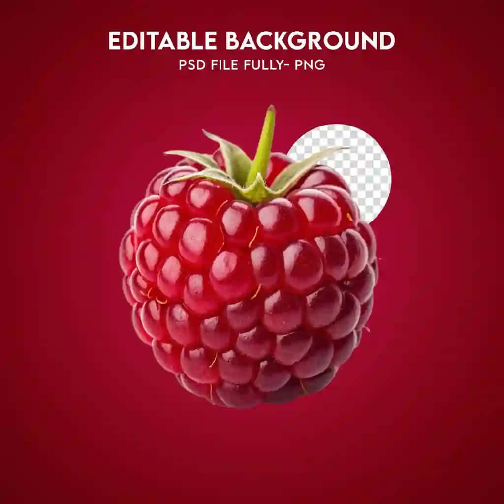 Yangi pishgan qizil malina izolyatsiya qilingan mustahkam fon | Fresh ripe red raspberry isolated solid background