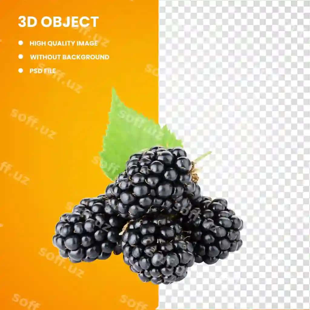 3d yaban murdumgurdi mevalar qora murdumgurdi meva qora murdumgurdi tabiiy taom frutti | 3d blueberry fruits blackberry fruit blackberry natural food frutti