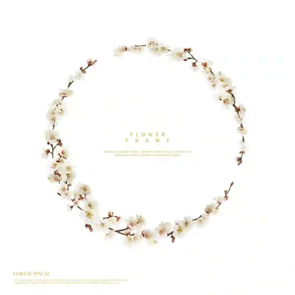 Ramkalar go'zal gullar bilan | Frames with beautiful flowers