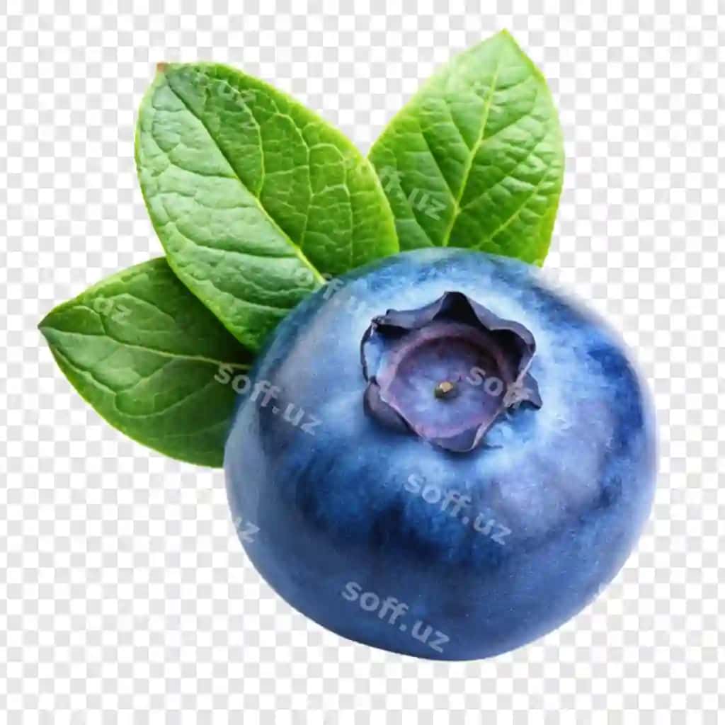Blauberi meva ajraltirilgan shaffof fonda | Blueberry fruit isolated transparent background 2