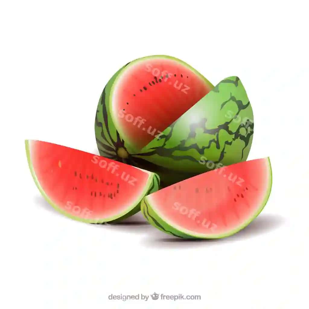 Tarvuzning real uslubi | Watermelon realistic style