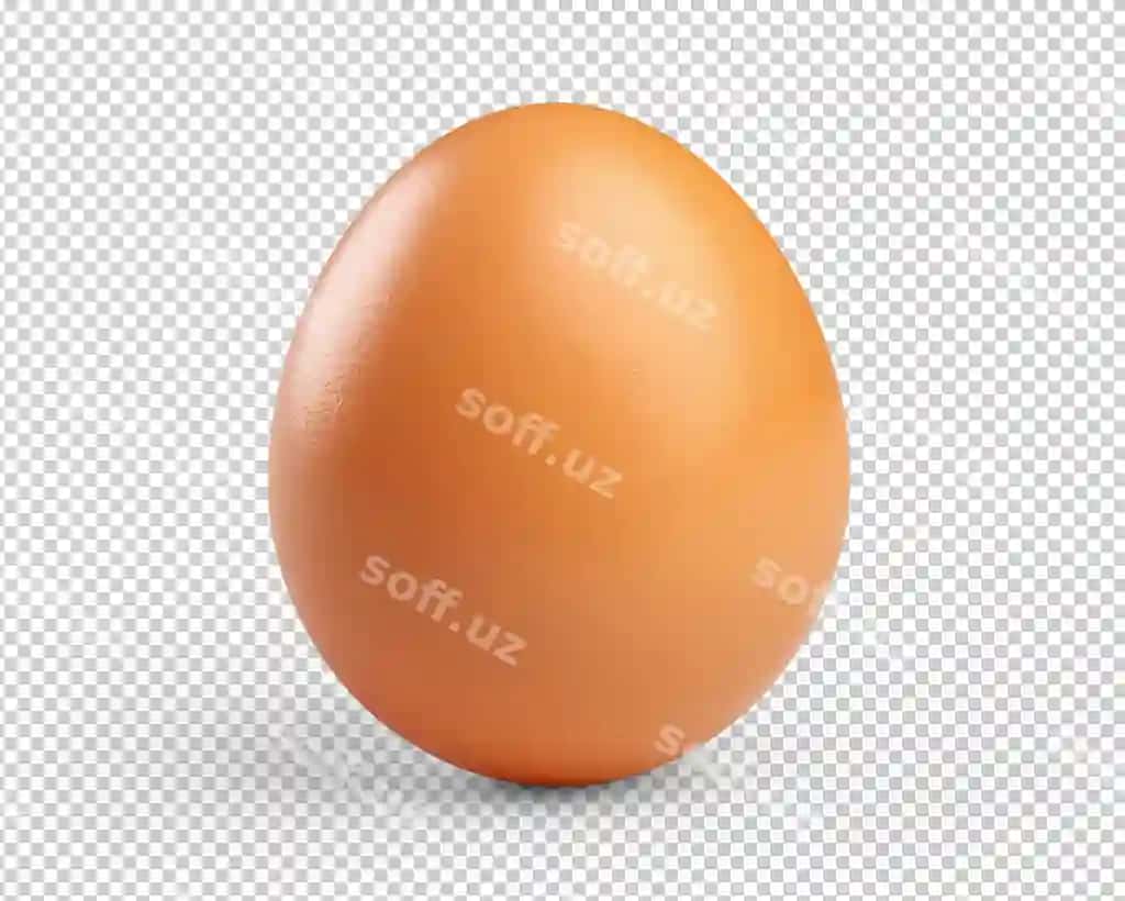 Tovuq uyum qo'llanma shaffof kesilgan shakl | Chicken egg manual cut out transparent