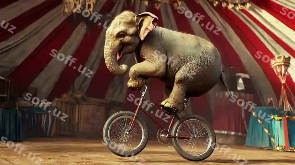 Chaqaloq fil velosipedda tirashtiradi sirk uy | Baby elephant rides bicycle circus tent