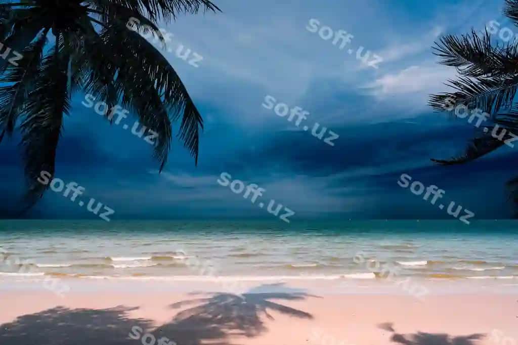 Palm Sky tropik plyaji | Palm sky tropical beach