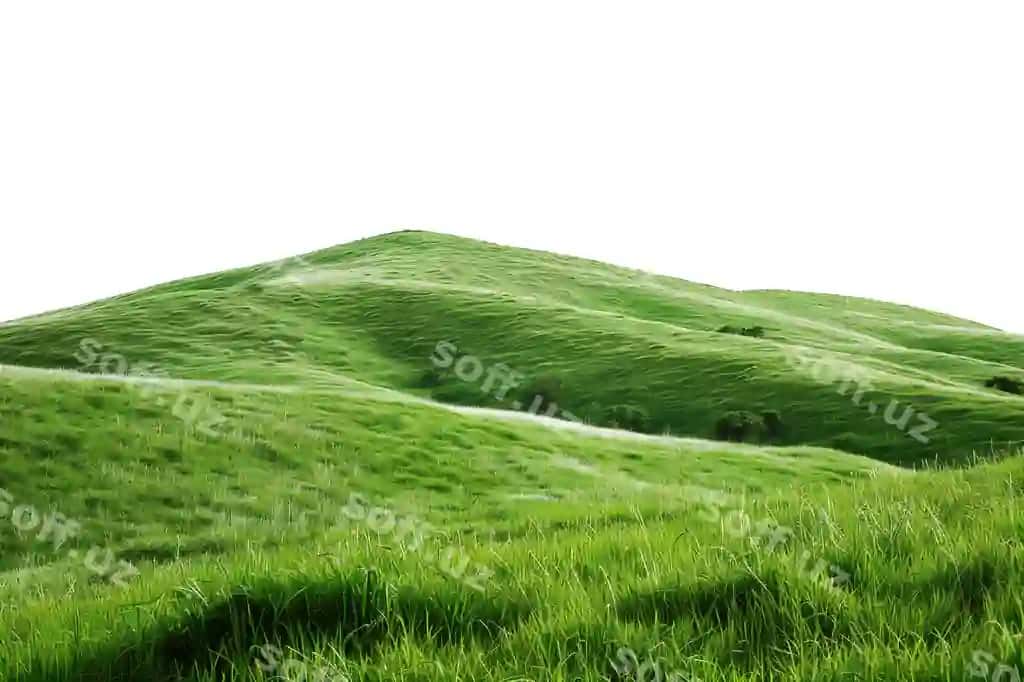 Oq fonli o'tli tepalik, oddiy minimalist | Grassy hill with white background simple minimalistic