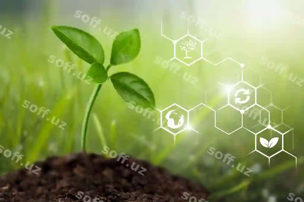 O'suvchi yosh o'simlik eko illustratsiyasi bilan | Growing young plant with eco illustration