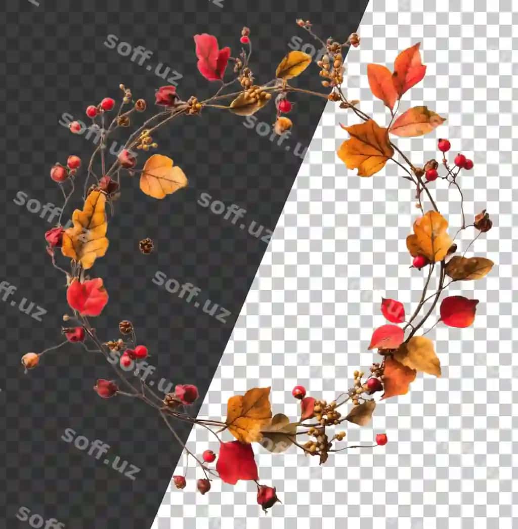Rezavorlar bilan kuz gulchambar oq kesilgan stok png | Autumn wreath with berries white cut out stock png