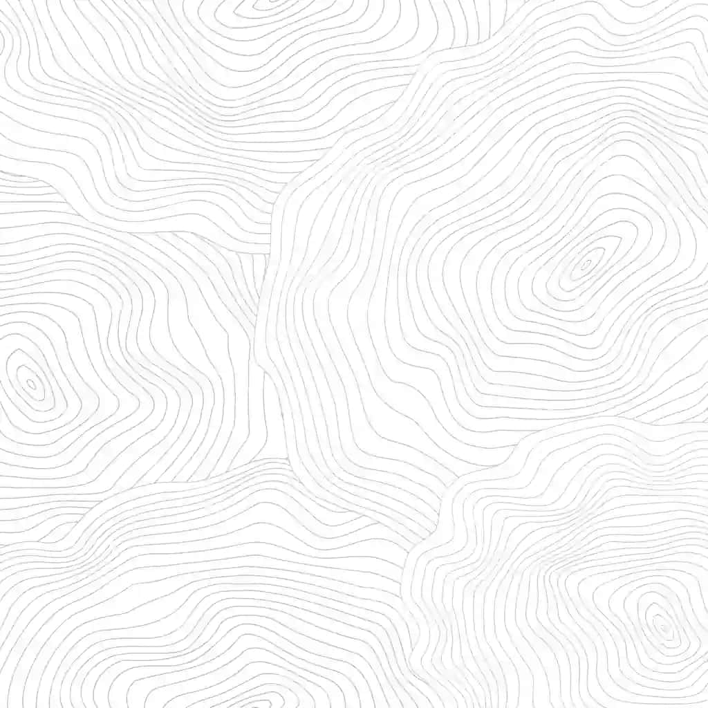 Naqua kontur chiziqlari bilan monokrom fonda | Pattern with contour lines monochrome background 2