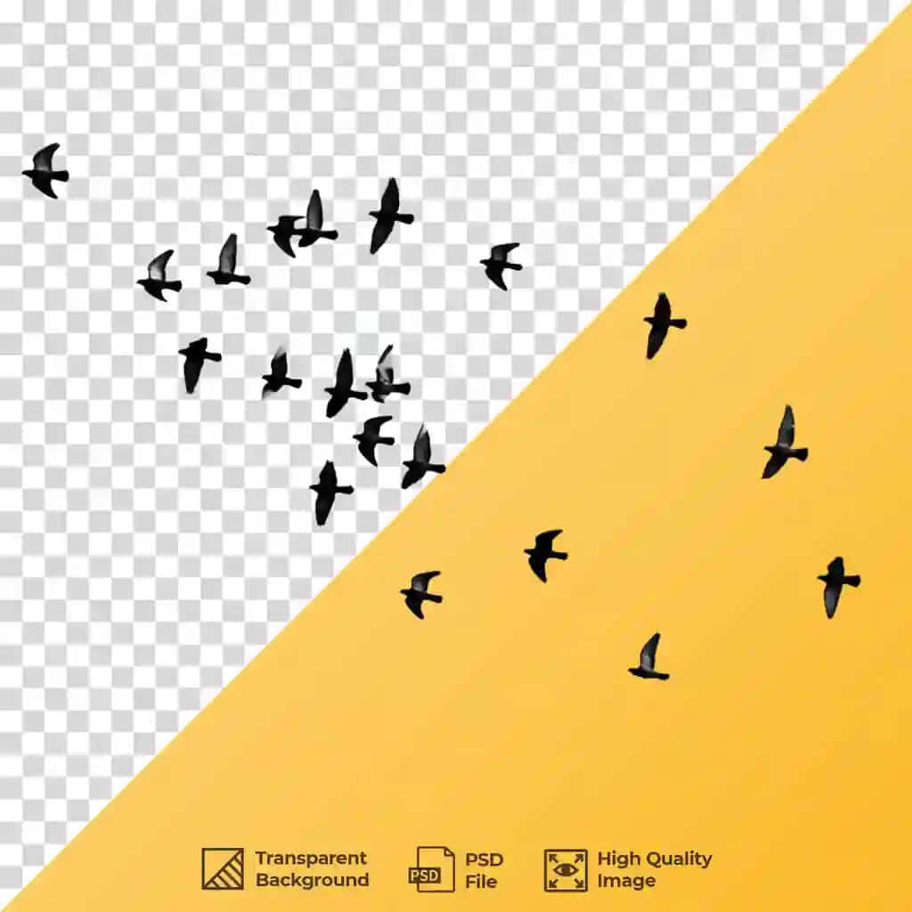 Poda qushlari uchmoqda | Flock birds flying