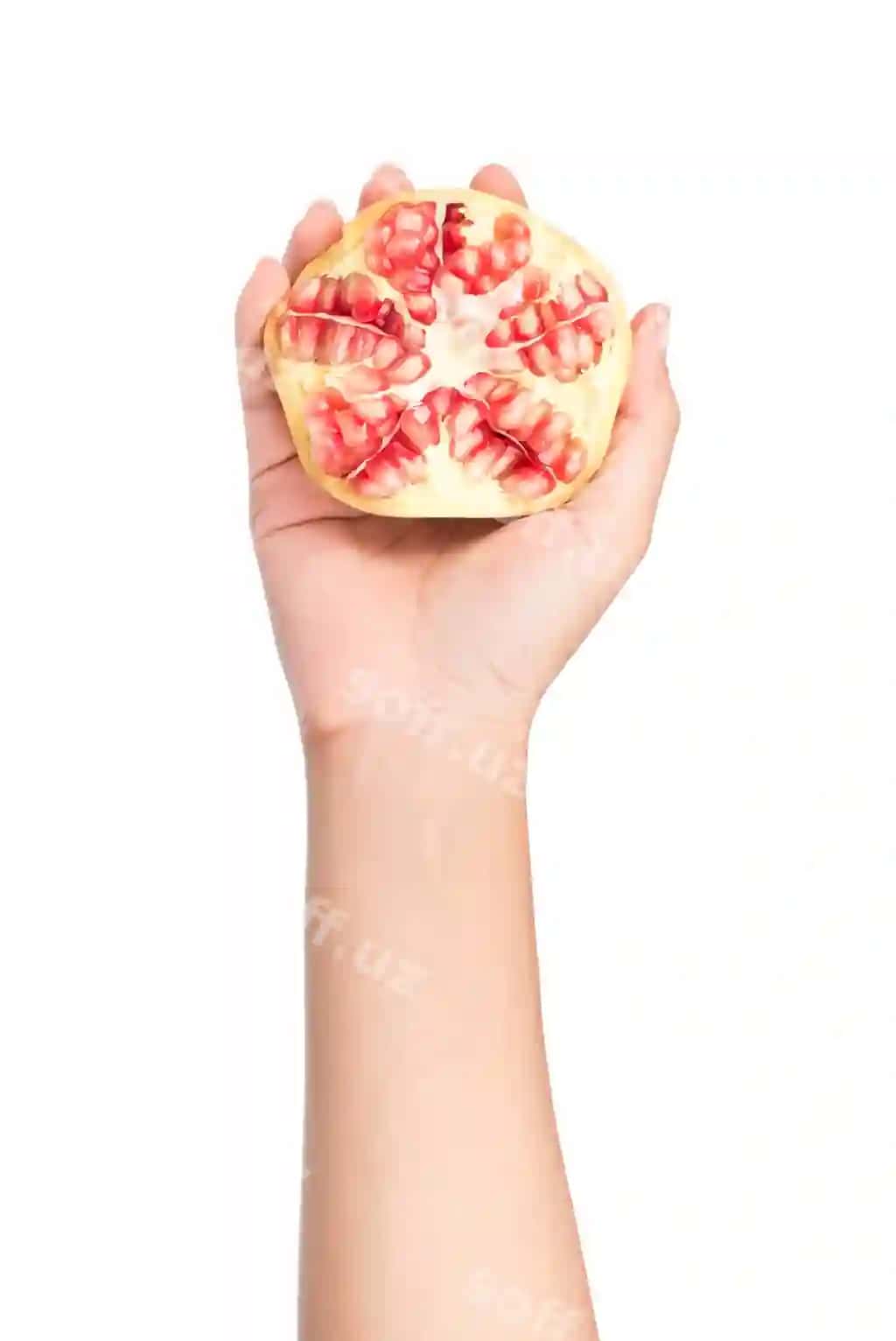 Qo'l Pomegranatelarni tutmoqda, orqa fonda mustahkamlanmagan oq fon | Hand holding pomegranates fruit isolated white background