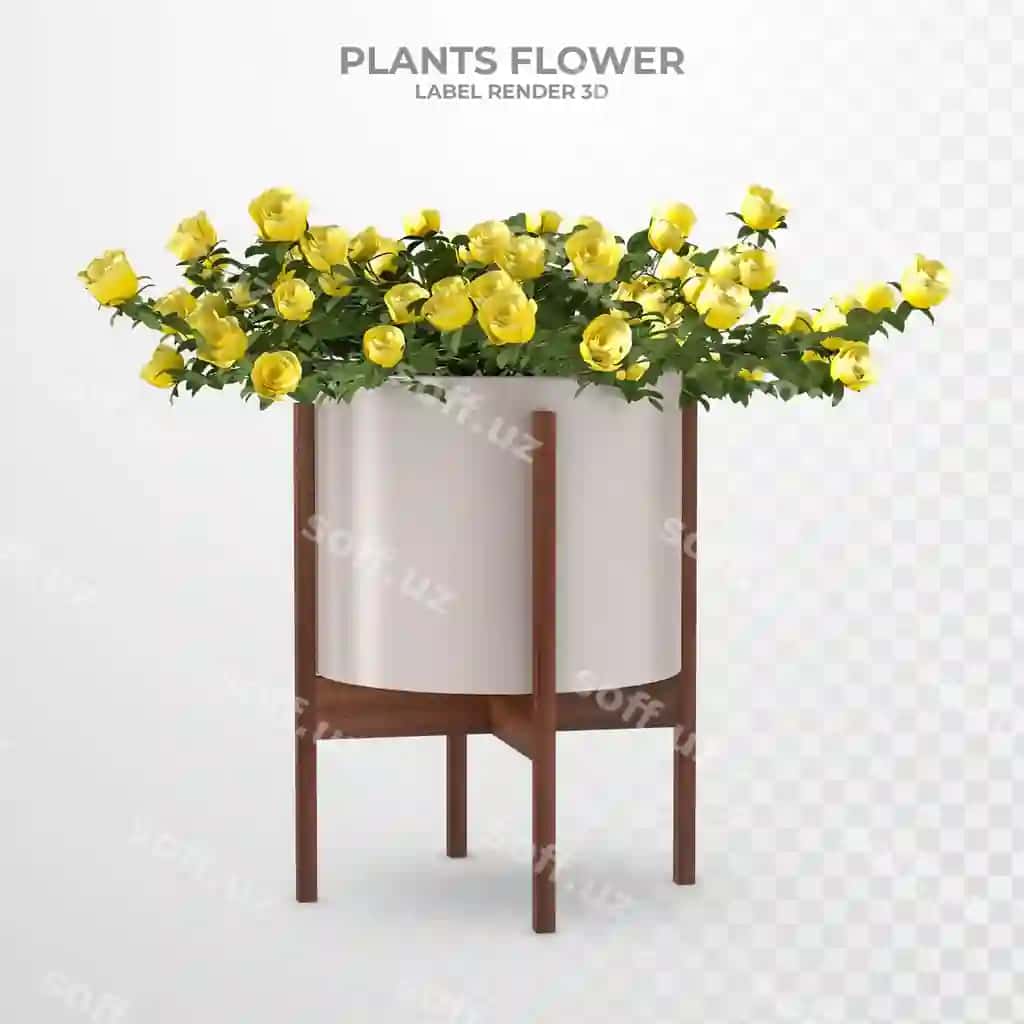 O'simliklar yopiq gullar 3D renderlash | Plants indoor flower 3d rendering