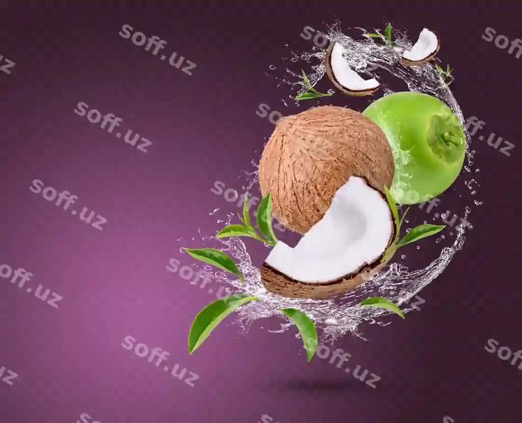 Suv splashi kokos choy yaproqli orqali ajraltirilgan binafsha fon | Water splash coconut with tea leaves isolated purple background
