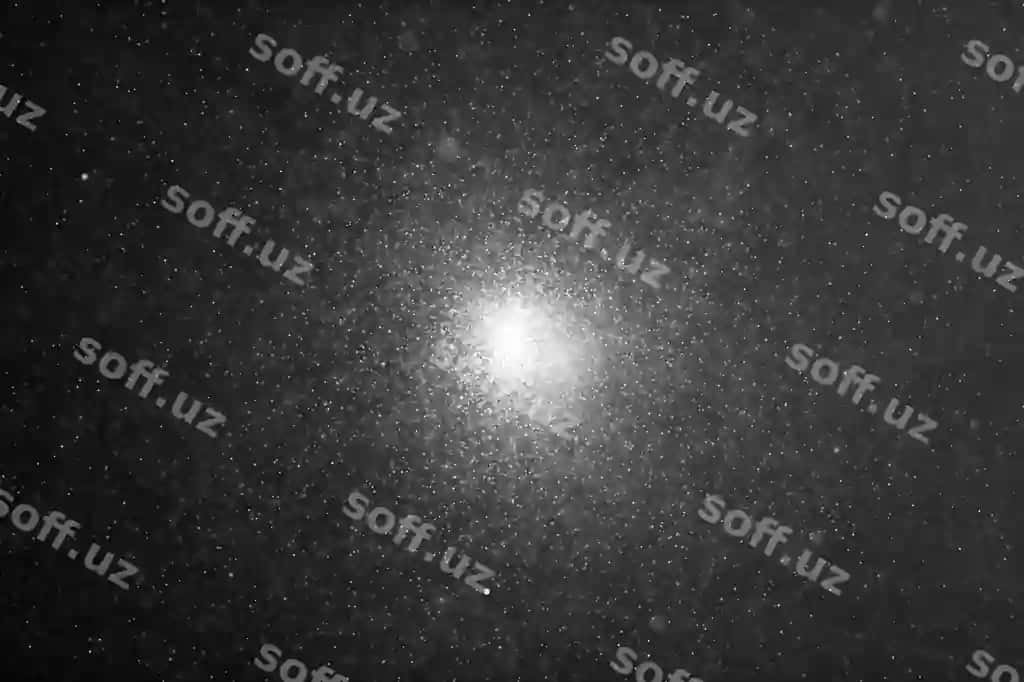 Tabiiy organik paxma zarralari qora orqa fonda suziluvchi | Natural organic dust particles floating black background