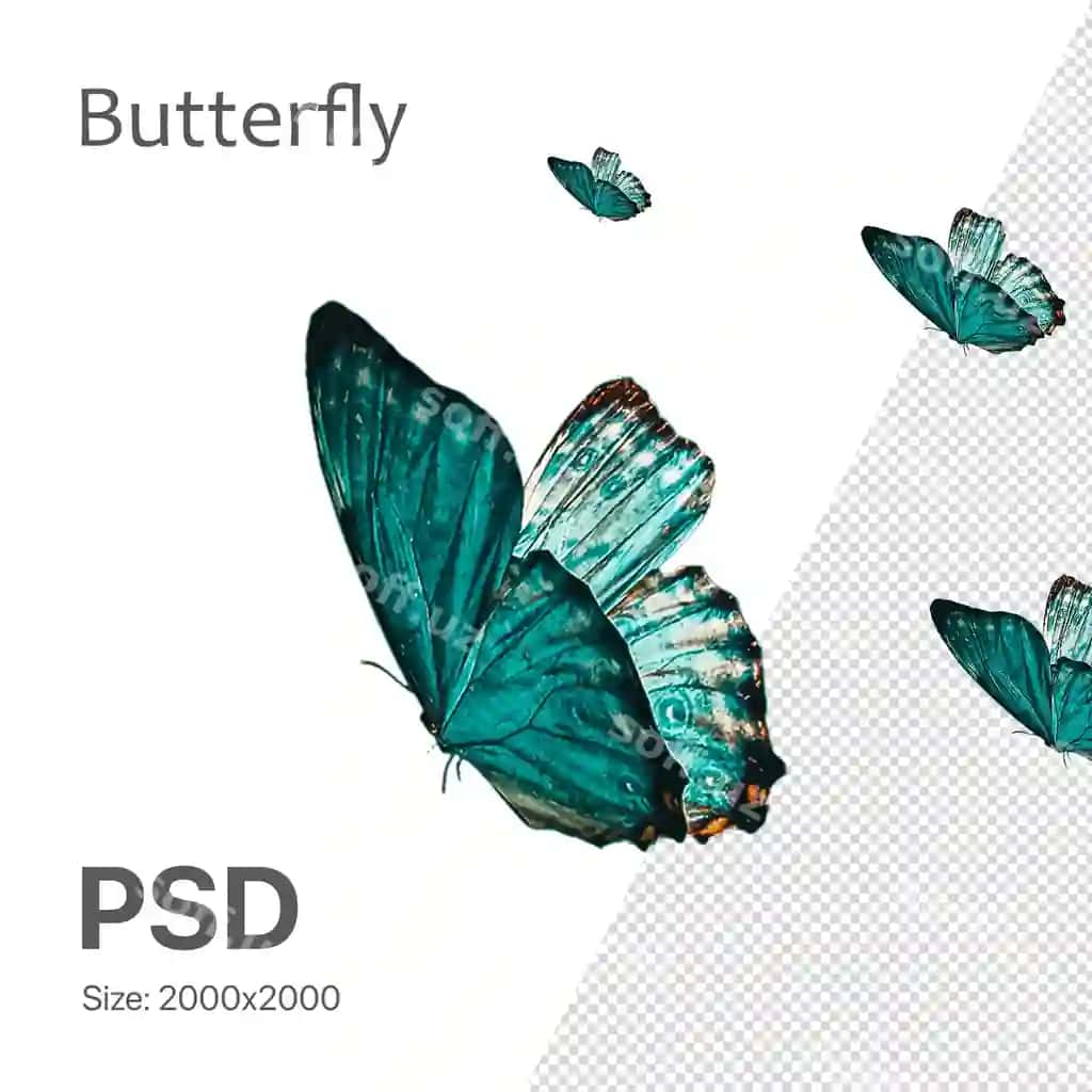 Psd papilona dizayn elementi bahor dizayni | Psd butterfly design element spring design 2