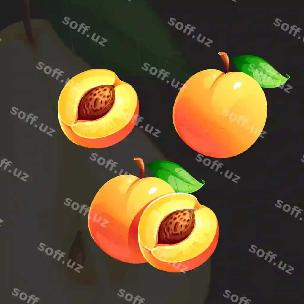Apelsin suvli yorqin yangi pishgan shaftoli vektor illyustratsiyasi | Orange juicy bright fresh ripe peach vector illustration