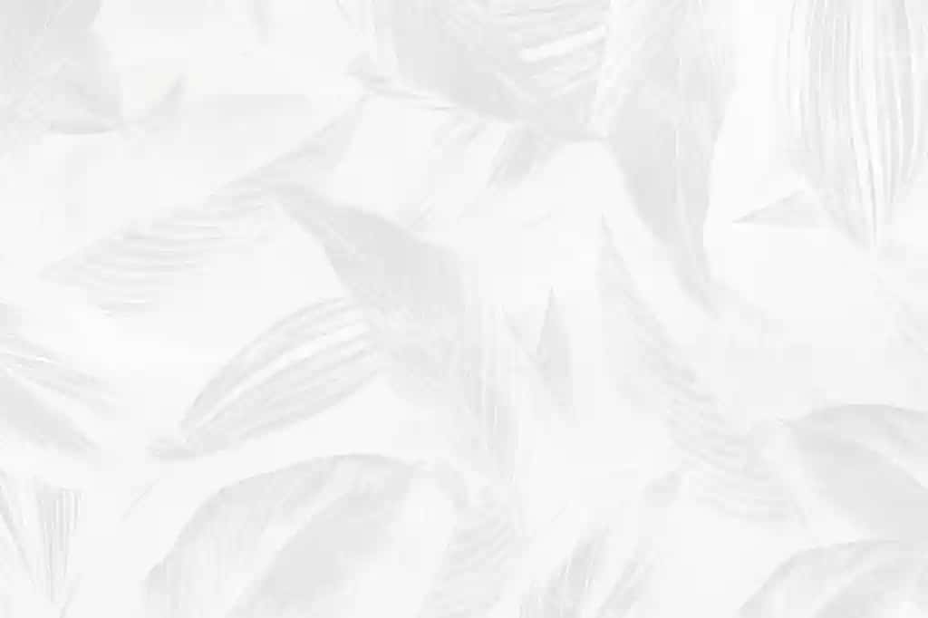 Jigarrang kalateya lutea bargi naqshlangan fonda | Gray calathea lutea leaf patterned background