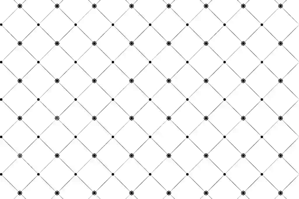 Geometrik panjara naqsh dizayni qora oq | Geometric grid pattern design black white
