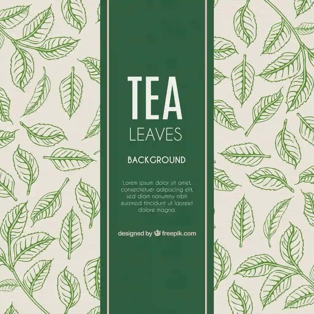 Choy barglari fonida qo'lda chizilgan uslub | Tea leaves background hand drawn style