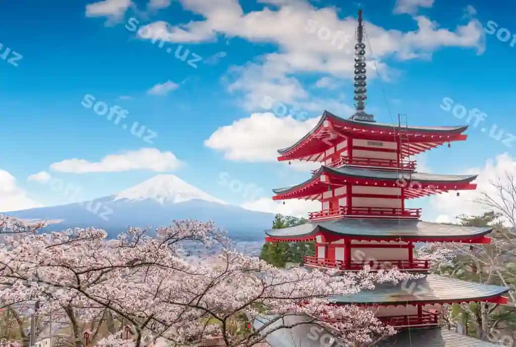 Fujisan cho'g'irmasi chiroyli manzaralari ko'k osmon | Mount fujisan beautiful landscapes blue sky