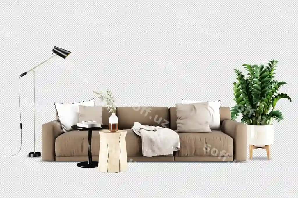 Old tomoni divan o'simlik 3-o'lchovli render | Front view sofa plant 3d rendering