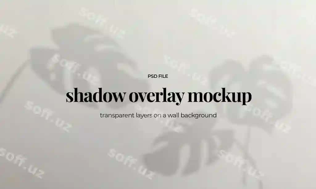 Palma barglari soyalari shaffof tabiiy yorug'lik shablonini yaratadi | Palm leaf shadows mockup natural light template with transparent